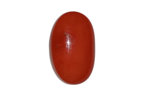 23.82 cts Natural Coral (Moonga)