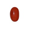 23.82 cts Natural Coral (Moonga)