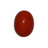 26.83 cts Natural Coral (Moonga)