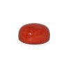 26.83 cts Natural Coral (Moonga)