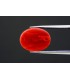 5.38 cts Natural Coral - Moonga (SKU:90129933)