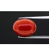 5.24 cts Natural Coral (Moonga)