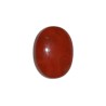 26.83 cts Natural Coral (Moonga)