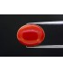 6.7 cts Natural Coral (Moonga)