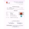 Gem Testing Laboratory | GJEPC Report for 26.83 cts Natural Coral (Moonga)