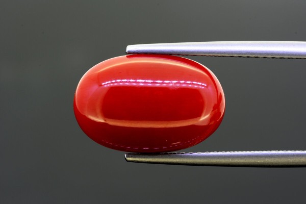 7.39 cts Natural Coral (Moonga)