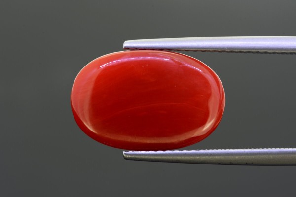 7.39 cts Natural Coral (Moonga)