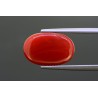 7.39 cts Natural Coral (Moonga)