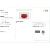 IIGJ Research & Laboratories | GJEPC Report for 7.39 cts Natural Coral (Moonga)