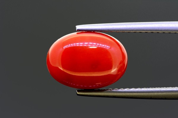 4.7 cts Natural Coral (Moonga)