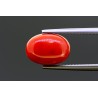 4.7 cts Natural Coral (Moonga)