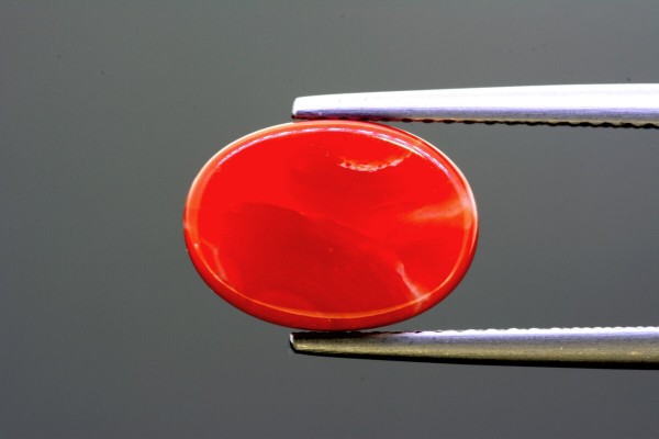 4.7 cts Natural Coral (Moonga)