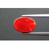 4.7 cts Natural Coral (Moonga)