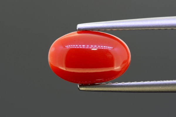 2.52 cts Natural Coral (Moonga)