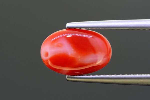 2.52 cts Natural Coral (Moonga)