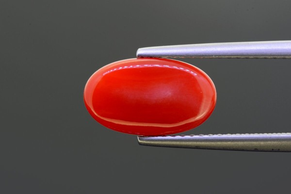 3.25 cts Natural Coral (Moonga)
