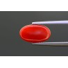 3.25 cts Natural Coral (Moonga)