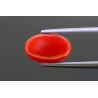 3.51 cts Natural Coral (Moonga)