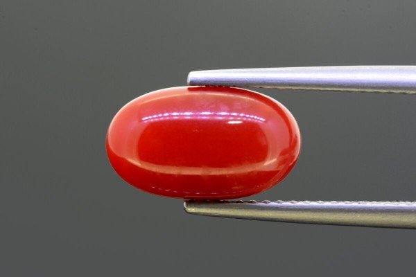 3.95 cts Natural Coral (Moonga)