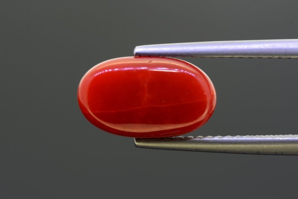3.95 cts Natural Coral (Moonga)