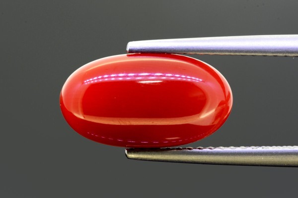4.5 cts Natural Coral (Moonga)