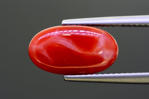 4.5 cts Natural Coral (Moonga)