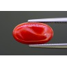 4.5 cts Natural Coral (Moonga)