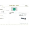 IIGJ Research & Laboratories | GJEPC Report for 4.55 cts Natural Emerald (Panna)