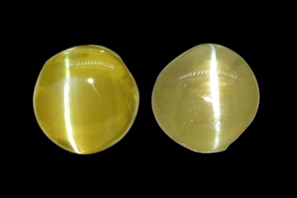 1.91 cts Natural Cats Eye (Lehsunia) - Earring Pair