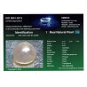 HIRCO Enterprises Pvt Ltd Report for 3.71 cts Natural Pearl (Moti)
