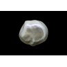 4.13 cts Natural Pearl (Moti)