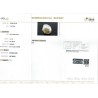 IIGJ Research & Laboratories | GJEPC Report for 4.13 cts Natural Pearl (Moti)