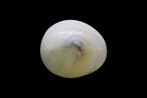 2.39 cts Natural Pearl (Moti)