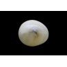 2.39 cts Natural Pearl (Moti)