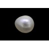 2.03 cts Natural Pearl (Moti)