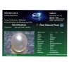 HIRCO Enterprises Pvt Ltd Report for 2.03 cts Natural Pearl (Moti)