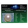 HIRCO Enterprises Pvt Ltd Report for 1.75 cts Natural Pearl (Moti)