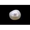 1.98 cts Natural Pearl (Moti)