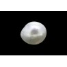 1.54 cts Natural Pearl (Moti)