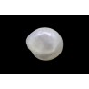 1.54 cts Natural Pearl (Moti)