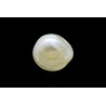 1.14 cts Natural Pearl (Moti)