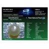 HIRCO Enterprises Pvt Ltd Report for .71 ct Natural Pearl (Moti)
