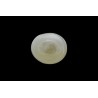 .78 ct Natural Pearl (Moti)
