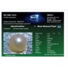 HIRCO Enterprises Pvt Ltd Report for .78 ct Natural Pearl (Moti)