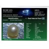 HIRCO Enterprises Pvt Ltd Report for .78 ct Natural Pearl (Moti)