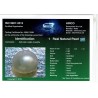 HIRCO Enterprises Pvt Ltd Report for .9 ct Natural Pearl (Moti)
