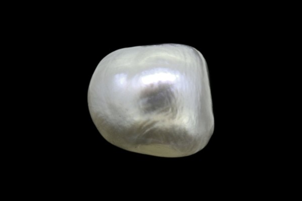 1.46 cts Natural Pearl (Moti)
