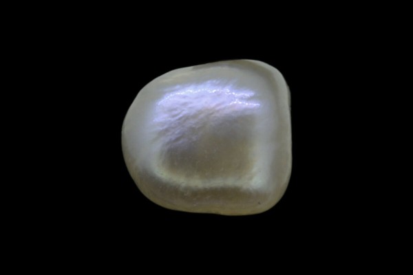 1.46 cts Natural Pearl (Moti)