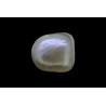 1.46 cts Natural Pearl (Moti)