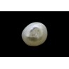 1.2 cts Natural Pearl (Moti)
